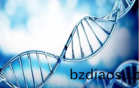 百傲(ao)2019再(zai)穫(huo)三證，進入DNA免(mian)提時代(dai)