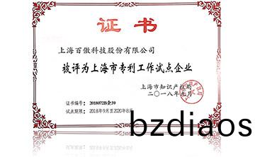 上海市專(zhuan)利工作試點(dian)企業