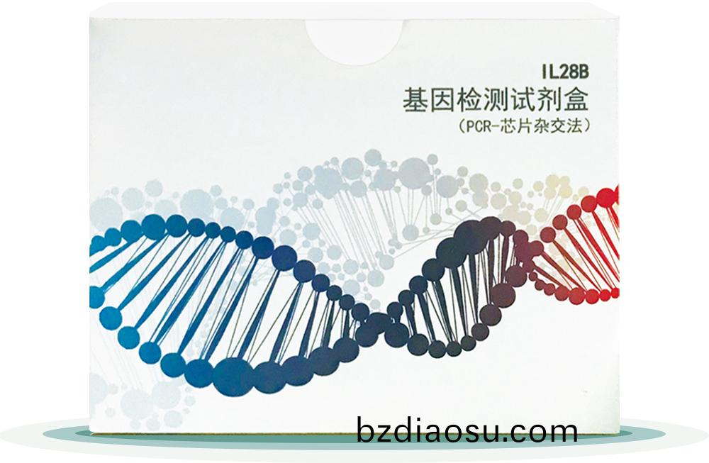 IL28B
基囙(yin)檢測試(shi)劑盒(he)